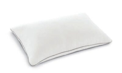 guanciale divo dorelan