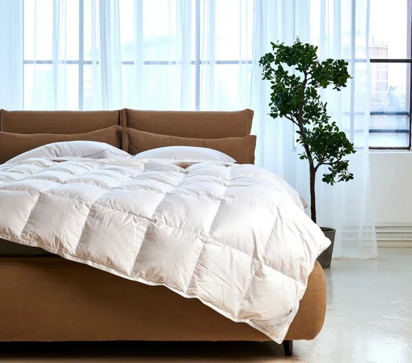 piumino clio (1) piumino clio